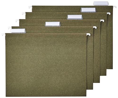 Basics Hanging File Folders for Documents, Letter Size, Essentials