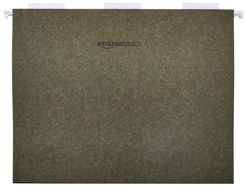 Basics Hanging File Folders for Documents, Letter Size, Essentials