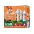 Natural Fruit Flavored Gateway Tea 6-Pack Variety Pack HM0F - Electrolyte Hydration Enhanced Taste Cartridges - Default Title